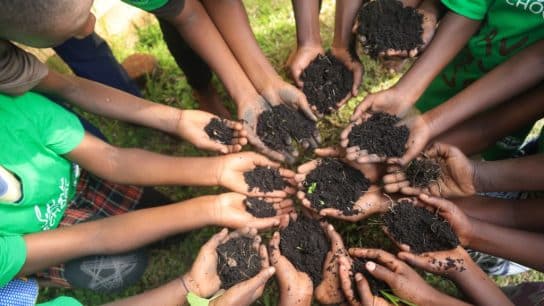 Op-Ed: Why 2024 Is a Pivotal Year for Our Soil