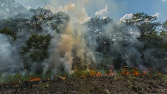 Age of Union Pledges $3.5 Million to the Conservation of the ‘Peruvian Capital of Biodiversity’ Madre de Dios Region