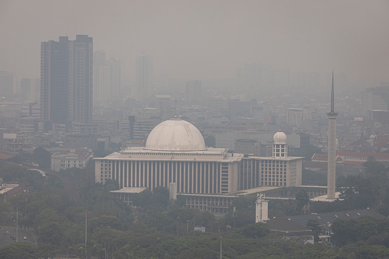 Establishing the Link: Climate Change and Decreasing Life Expectancy