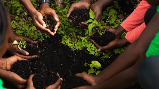 Op-Ed: If We Achieve Anything at COP28, It Must Be the Protection of Our Soil 