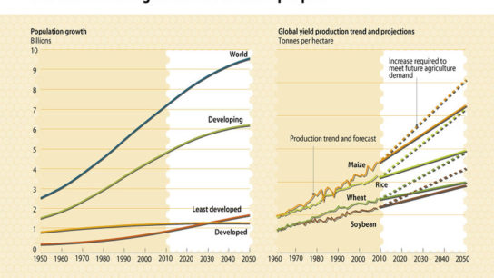 Can We Feed 9.6 billion People?