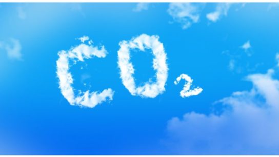 Carbon Sinks: A Brief Review