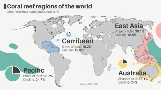 The State of our Coral Reefs in 2020