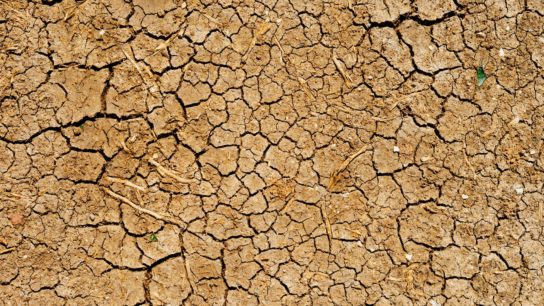 Freshwater Access and its Social Impacts