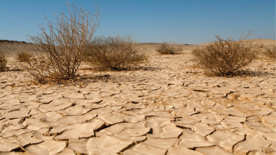 Mapping The Shocking Extent of Desertification