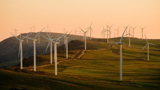 What the Future of Renewable Energy Looks Like