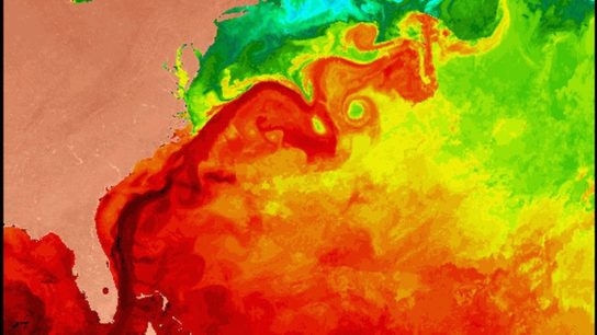 The Gulf Stream is Slowing; What are the Implications?