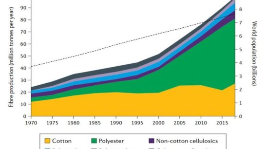 Impacts of Fast Fashion on the Environment