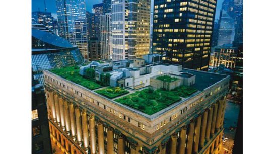 Green Walls in an Increasingly Urban World