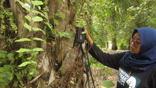 A New Monitoring System to Protect the Last Remaining Asian Elephants