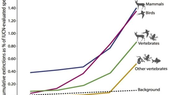 Are We in The Sixth Mass Extinction?
