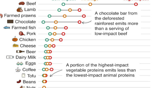 Why Environmental Impact Should Influence Your Diet