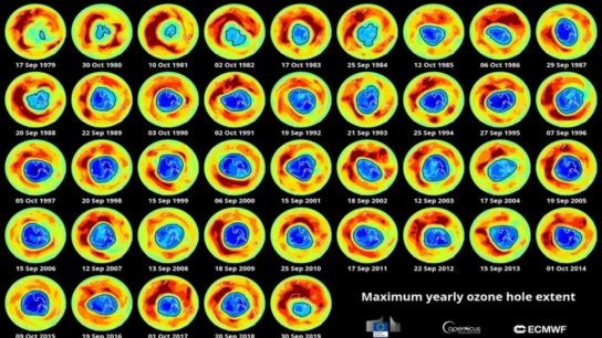 Assessing Policy: The Montreal Protocol