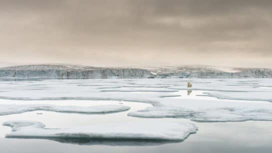 15 Biggest Environmental Problems of 2024