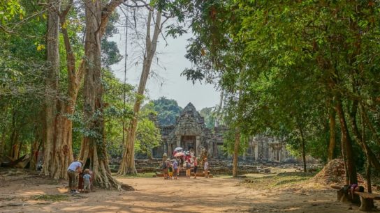 What’s Happening in Cambodia’s Forests?