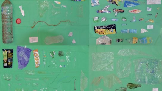 Majority of Ocean Plastic from Takeout, Study Finds