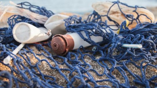 Plastic Straws: Where Are We Now?