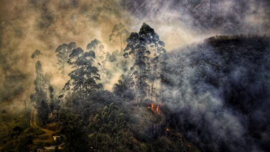 How Extreme Hot Weather Events Will Impact Earth for Years to Come