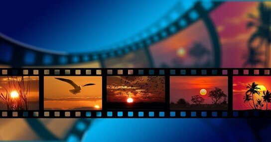 The 21 Best Environmental Films to Watch in 2024