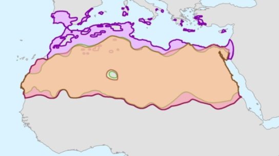 Is the Sahara Desert Growing?