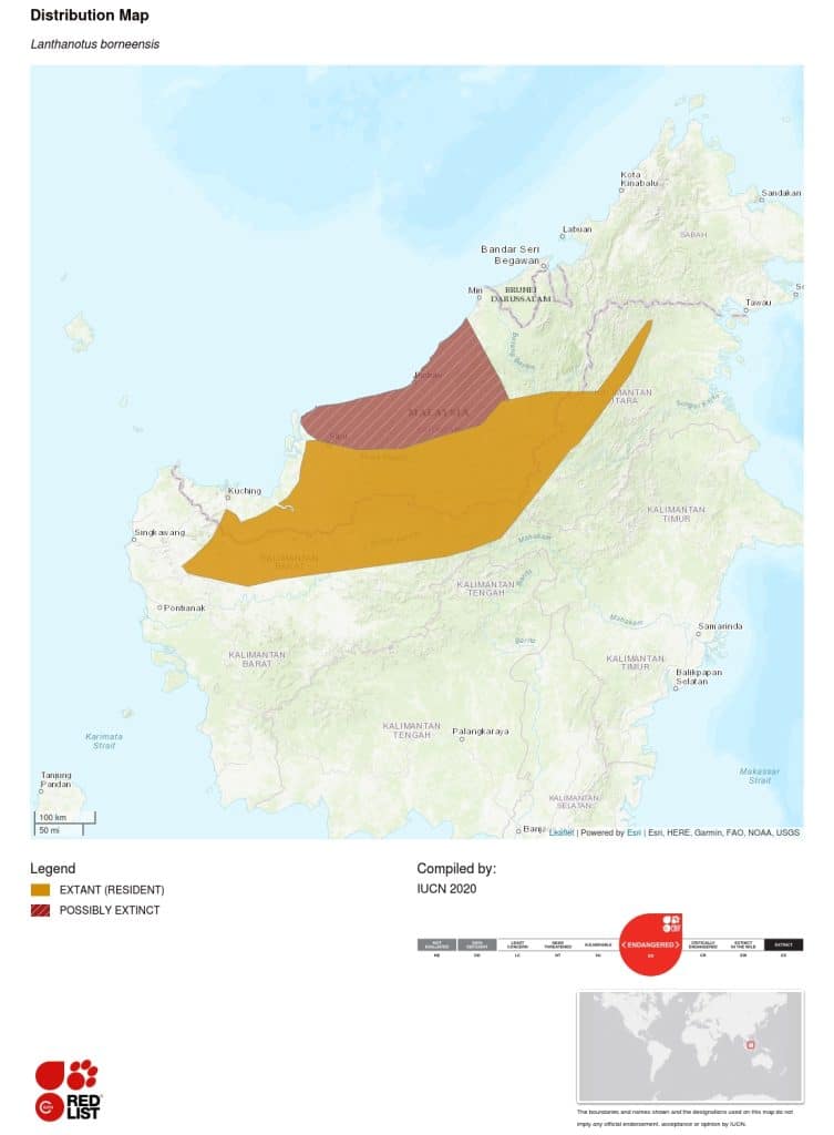 Lanthanotus borneensis distribution map. Image: IUCN.