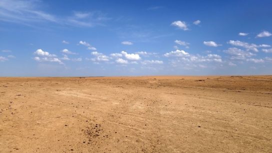 What is the Tragedy of the Commons?