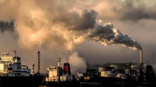 Can the Voluntary Carbon Market Help Improve Sustainability in Developing Countries?