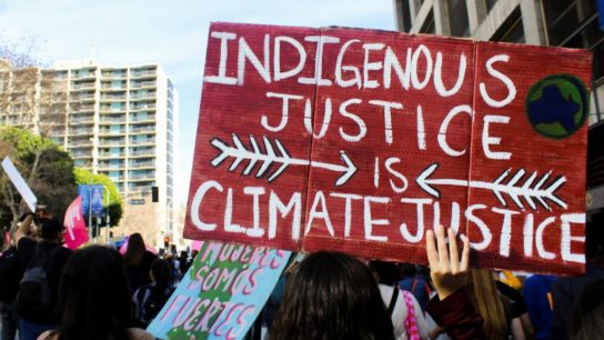 How Young Creators Are Shaping the Climate Narrative of Our Time