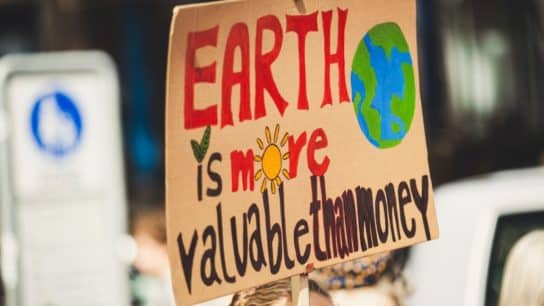 How Youth Climate Action Is Shaping a More Sustainable Future