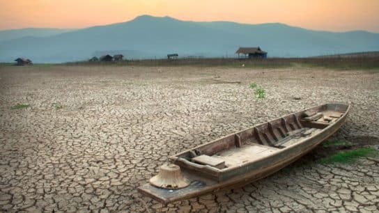 4 Climate Adaptation Strategies From Around the World