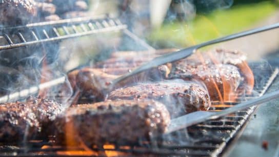 Breaking the Chains: Liberating Ourselves and the Planet from Meat Addiction