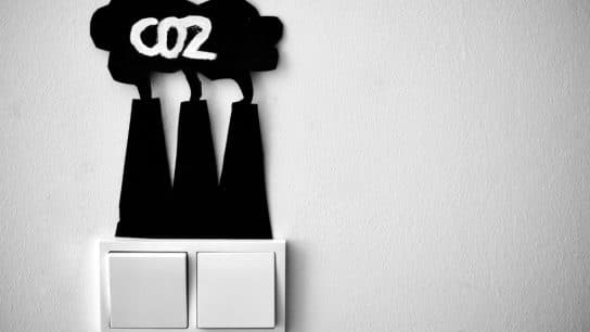 How Can Behavioral Science Encourage Sustainable Decisions?