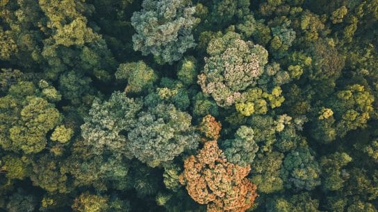 Op-Ed: Where the Climate Discourse Has Gone Wrong