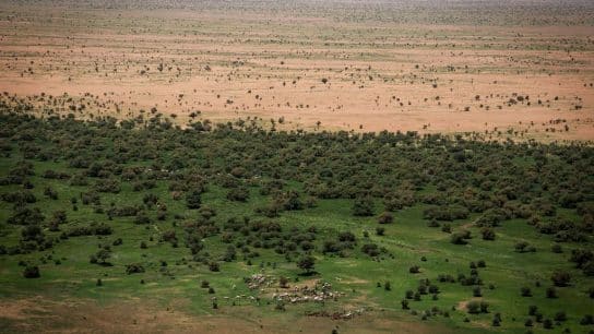 The Great Green Wall: A Wall of Hope or a Mirage?