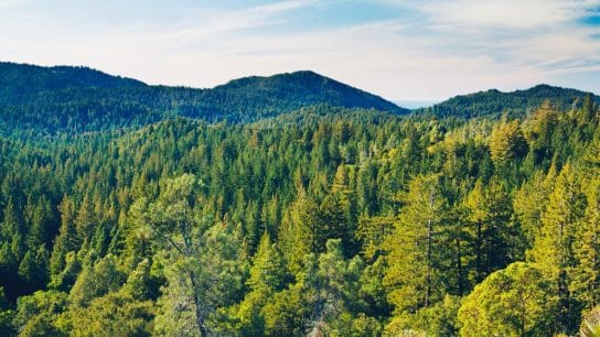 Op-Ed: This Earth Day, We Mustn’t Forget the Nutrient Young People Are Deficient In – Vitamin N