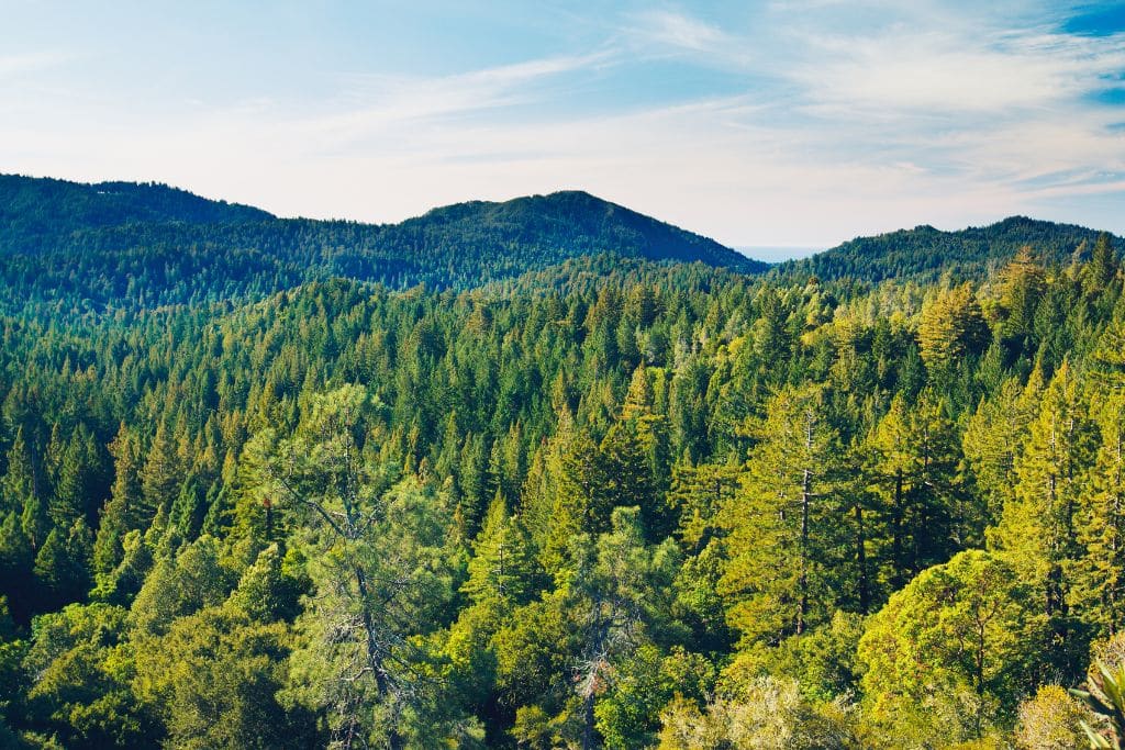 Op-Ed: This Earth Day, We Mustn’t Forget the Nutrient Young People Are Deficient In – Vitamin N