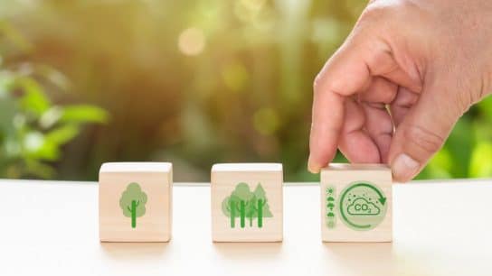 Op-Ed: The UN Sustainable Development Goals Are Unsustainable; Here’s Why the World Needs Alternative Approaches 