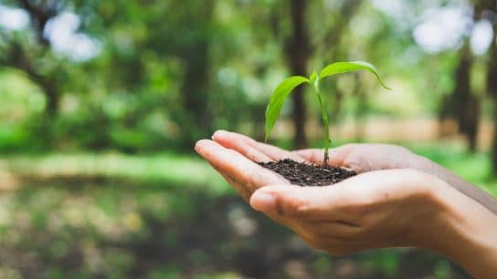 Op-Ed: Restoring Ecological Belonging – A Call to Heal Our Planet