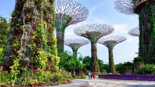 How Urban Planning and Smart Cities Can Help in the Fight Against Climate Change