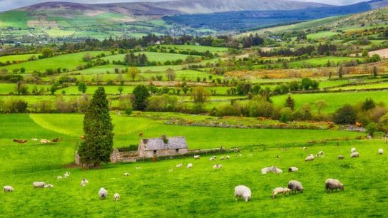 Ireland to Cut Emissions from Agriculture by 25% by 2030