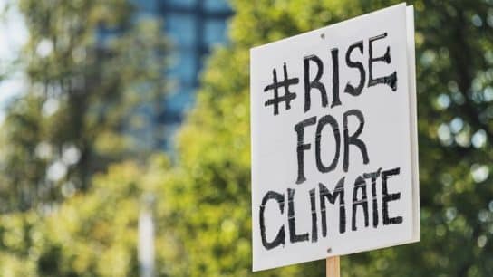 Why Grassroots Organisations Are Essential for Sustainability