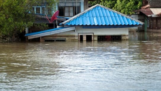 5 Ways Climate Change Is Threatening the Future of Humanity