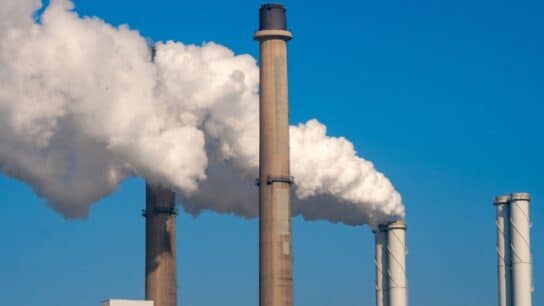 What Does Net Zero Mean and Why Is It Important?