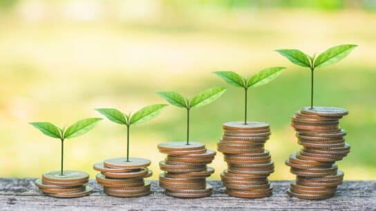 Navigating ESG Requirements on an International Scale: An Interview with H&H Group’s Pascale Laborde