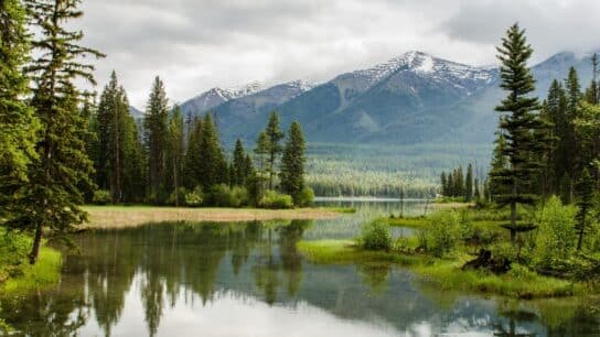 Human Connection With Nature Improves Wellbeing and Pro-Environmental Behaviours: Study
