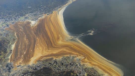 Explainer: What Is Environmental Crime?