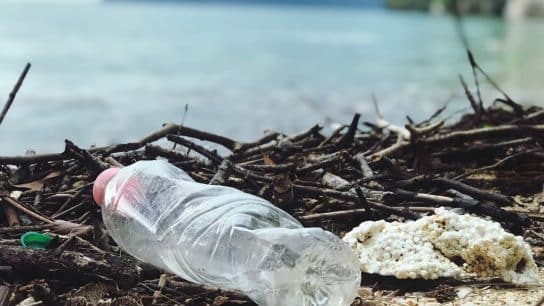 Op-Ed: Calling on the Waste Management Sector to Champion Zero Waste Initiatives