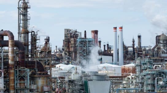 Penalties Required: The Limits of Voluntary Environmental Agreements 