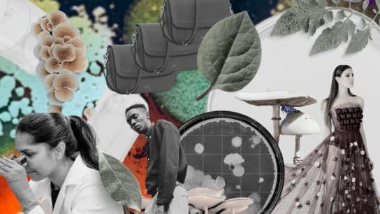 Can Biotechnology Save the Fashion Industry? 