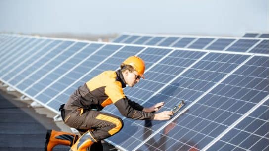 How Can We Fulfil the Growing Need for Green Skills in the Job Market? 